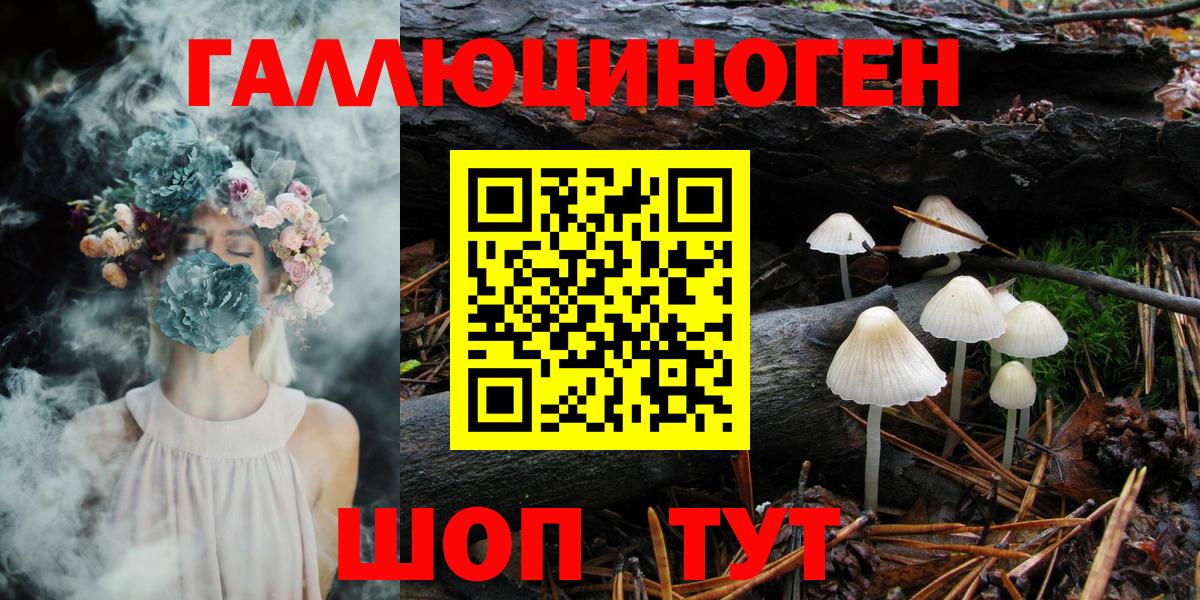 Кашира  Псилоцибиновые грибы прущие грибы  Вход с VPN 